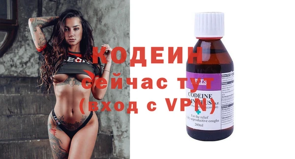 шишки Аркадак