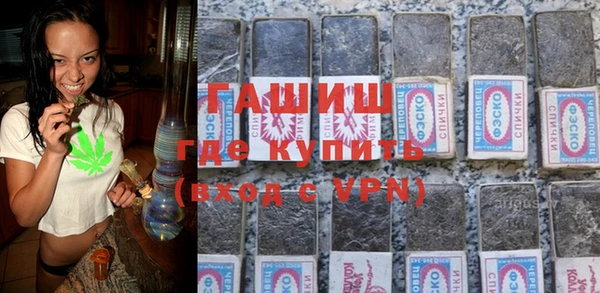 индика Арсеньев