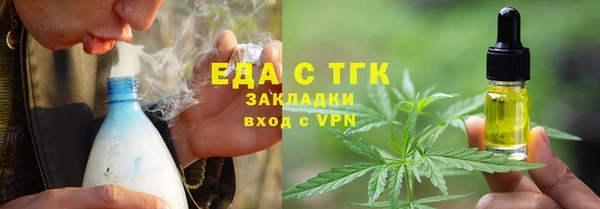индика Арсеньев