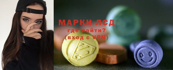 индика Арсеньев