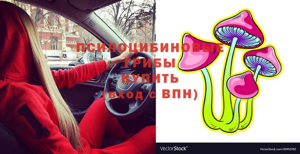 шишки Аркадак